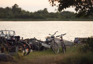 Mountain Bikes: A Thrilling Ride Through Time