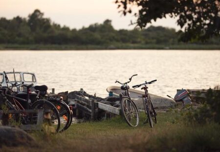 Mountain Bikes: A Thrilling Ride Through Time