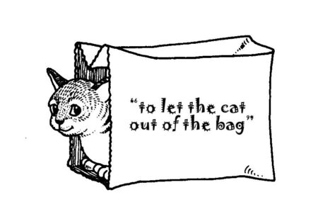 Unveiling the Secrets: What’s Inside the Bag?