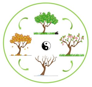 The Ever-Turning Cycle of Life: Embrace Every Moment Fully