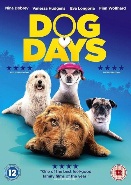 Conquer the Dog Days: Essential Tips to Stay Cool and Thrive This Summer