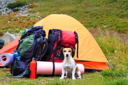 Gear-Shame Me Once, Shame On You: How to Break Free from the Cycle