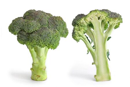 The Surprising Benefits of Always Finishing Your Broccoli!