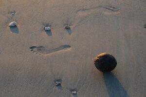 Don’t Miss the Limited-Time Release of the New Moots Scrambler Adventure Bike! Don’t Miss the Limited-Time Release of the New Moots Scrambler Adventure Bike!