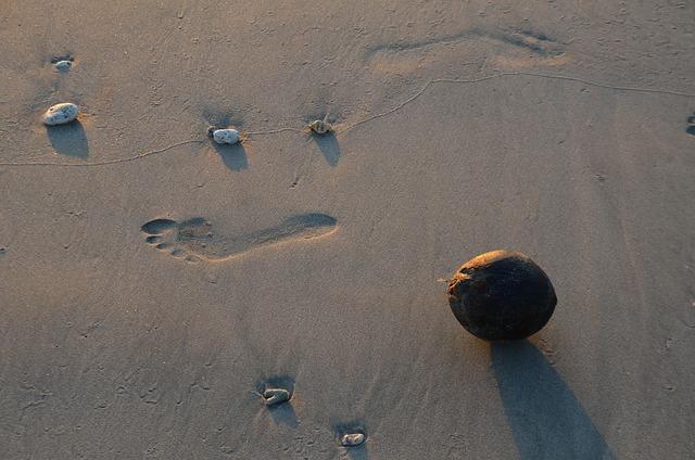 Don’t Miss the Limited-Time Release of the New Moots Scrambler Adventure Bike! Don’t Miss the Limited-Time Release of the New Moots Scrambler Adventure Bike!