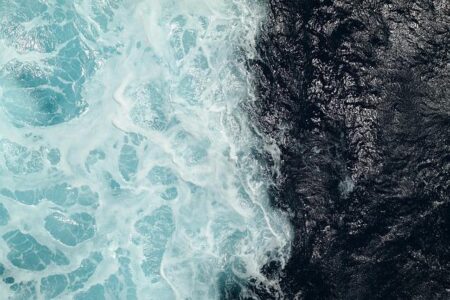 Why Not? Sometimes, It’s Absolutely Perfect to Say Yes! Why Not? Sometimes, It’s Absolutely Perfect to Say Yes!