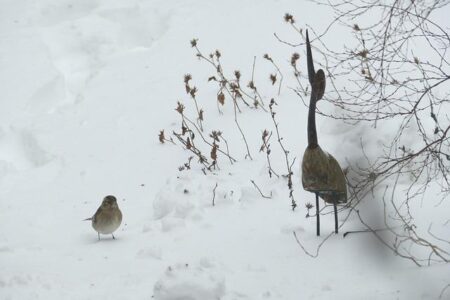 Don’t Miss Out: I’m Checking Out! Don’t Miss Out: I’m Checking Out!