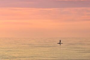 Ultimate Review: Feedback Sports Sport Mechanic 2.0 Repair Stand – Is It Worth It? Ultimate Review: Feedback Sports Sport Mechanic 2.0 Repair Stand – Is It Worth It?