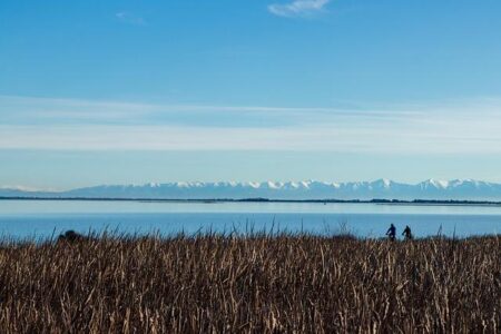 New Zealander Seizes Command with Thrilling Sprint Victory on Stage 1 of Women’s Tour Down Under