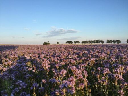 Mathieu van der Poel Embraces the Excitement: Joins the Benidorm World Cup Race at Last!