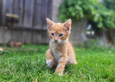 Celebrate 40 Years of Super Performance Sunglasses with the Exclusive €950 Limited Edition Re-Release from Rudy Project