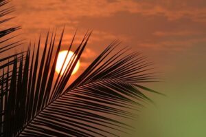 SRAM Transforms Downhill Riding with Game-Changing XX DH Direct Mount Transmission SRAM Transforms Downhill Riding with Game-Changing XX DH Direct Mount Transmission