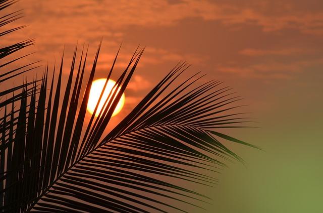 SRAM Transforms Downhill Riding with Game-Changing XX DH Direct Mount Transmission SRAM Transforms Downhill Riding with Game-Changing XX DH Direct Mount Transmission