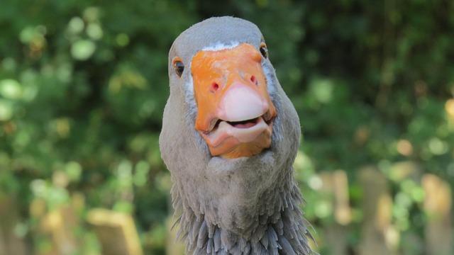 Stay Cool and Shine Bright: Women’s Short Sleeve Cycling Jersey with Moisture-Wicking Fabric and Reflective Accents Stay Cool and Shine Bright: Women’s Short Sleeve Cycling Jersey with Moisture-Wicking Fabric and Reflective Accents