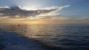 Inside Matthew Brennan’s Kuurne-Brussel-Kuurne Victory: The Cervélo S5 and Its Quirky Toy Donkey Sidekick