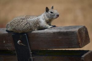 Mastering Patience: Unlocking the Strength in Watching and Waiting