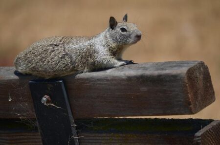 Mastering Patience: Unlocking the Strength in Watching and Waiting