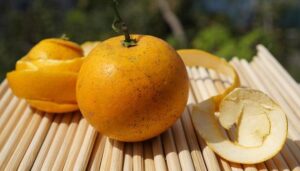 Lifetime Grand Prix Champ Cam Jones Smashes Records with New White Rim FKT Lifetime Grand Prix Champ Cam Jones Smashes Records with New White Rim FKT