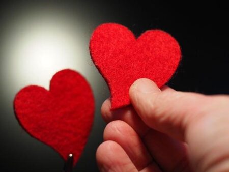 The Felt Breed Gravel Bike Is Back with a Lighter Frame and Sleeker Aerodynamics