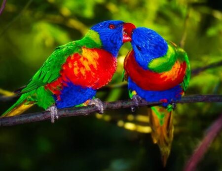 Making Steady Progress, One Peck at a Time Making Steady Progress, One Peck at a Time