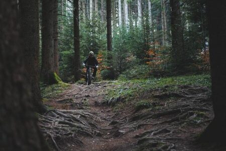 Get Ready for the Ultimate Test: Leadville Trail 100 MTB Returns in 2025! Leadville Trail 100 MTB 2025 – Cyclingnews