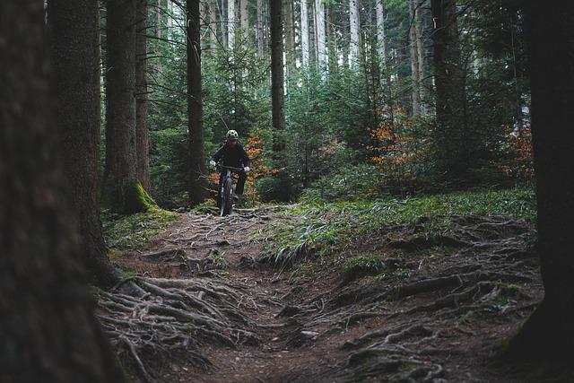 Get Ready for the Ultimate Test: Leadville Trail 100 MTB Returns in 2025! Leadville Trail 100 MTB 2025 – Cyclingnews