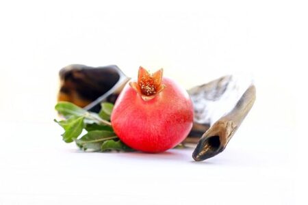 Shofar So Good