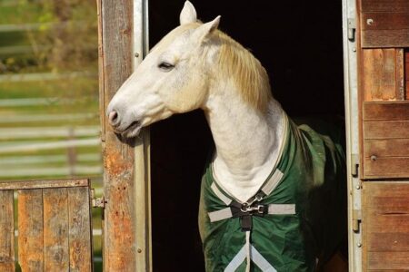 Velocio Adds New LUXE, ONE, and TRAIL Apparel for Fall and Winter Riding